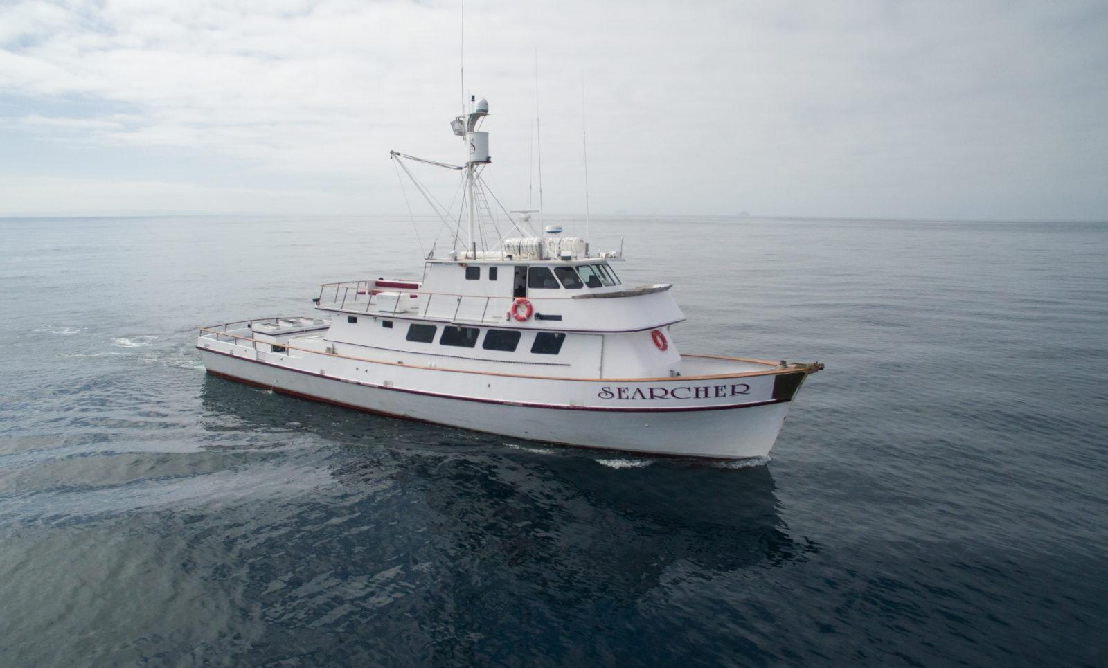 Pelagic Birding Tours