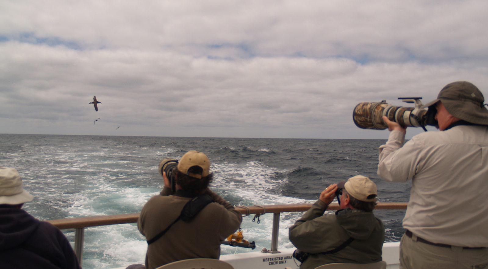 pelagic birding trips hawaii