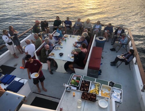 2023 Baja Whalewatching Tour #4 Sea of Cortez (April 2)