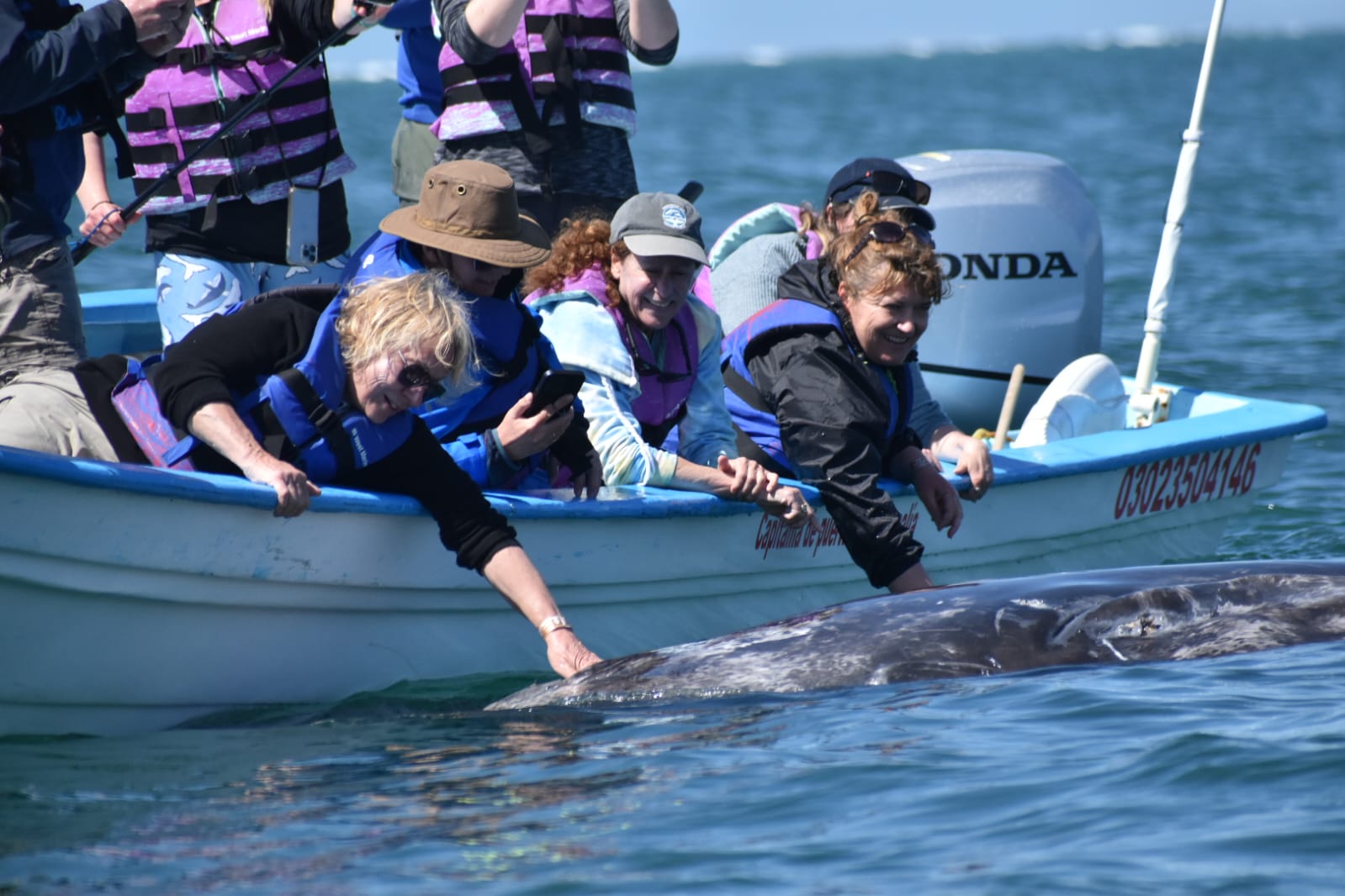 $ women smiling watching gray whale swim by their boat